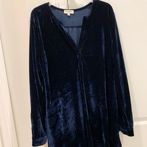 Blue velvet dress.